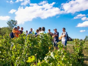 Rencontre avec le vigneron dans le maconnais Team building Vélos Vin vignobles