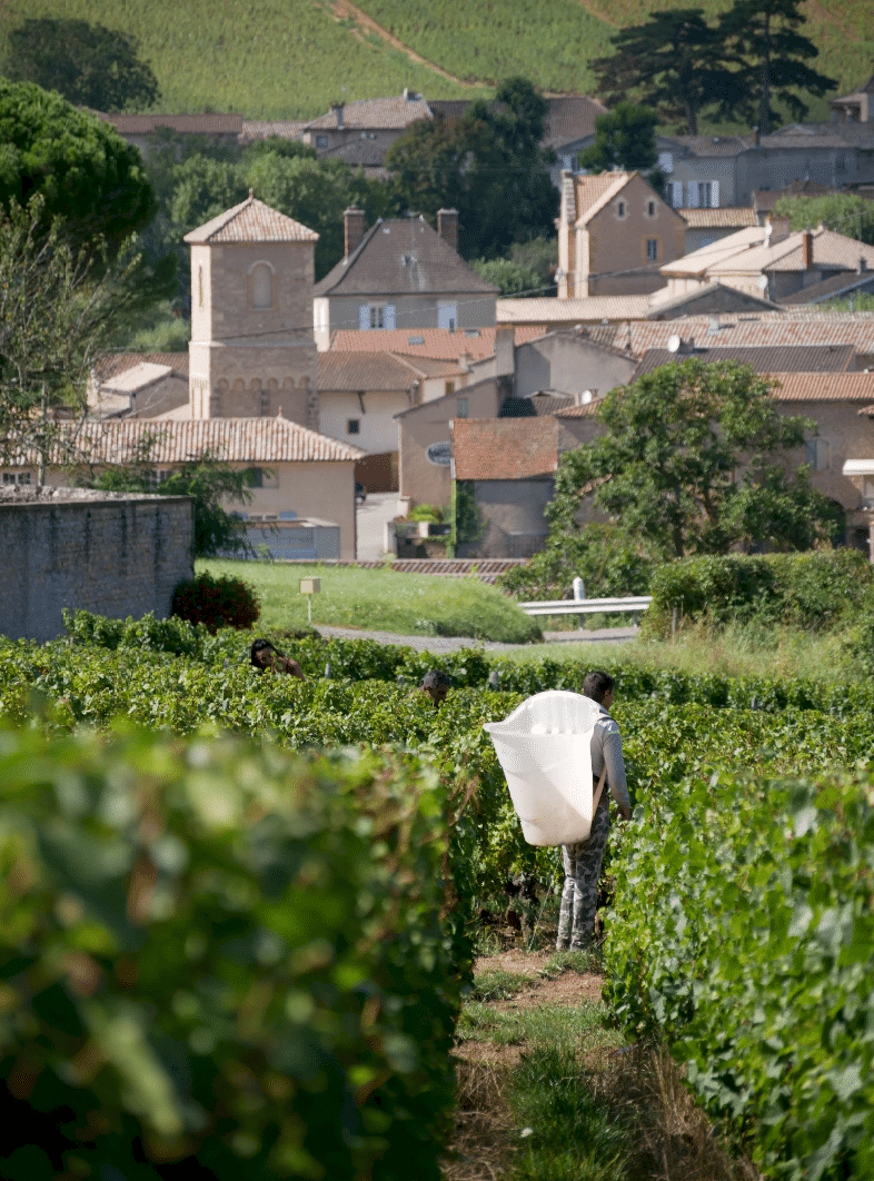 Vue d'un village dans les vignes lieu du teambuilding vélo vin