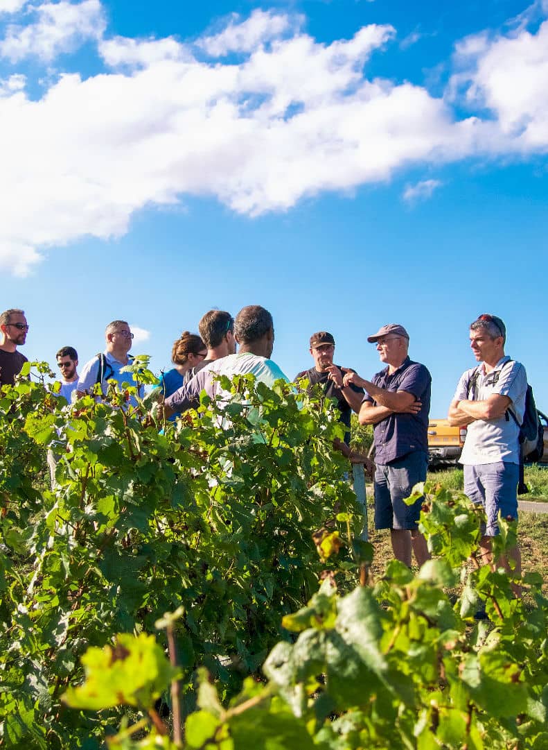 Team building Vélos Vin vignobles 2 jours 35-11 verticale